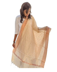 Hazelnut Fancy Dupatta