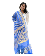 Blue Organza Dupatta