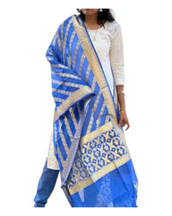 Blue Organza Dupatta