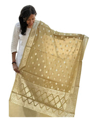 Olive Cotton Dupatta