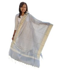 Coin Fancy Dupatta