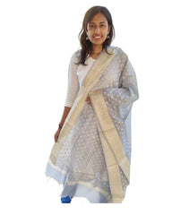 Coin Fancy Dupatta