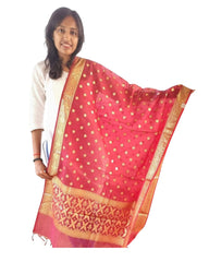Maroon Cotton Dupatta