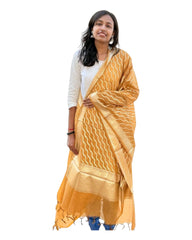 Medallion Cotton Dupatta