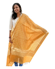 Medallion Cotton Dupatta