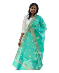 Light Sea Green Zari Fancy Dupatta