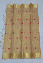 Malkin In Shiny Beige Soft Tissue Saree