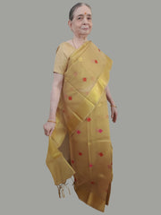 Malkin In Shiny Beige Soft Tissue Saree