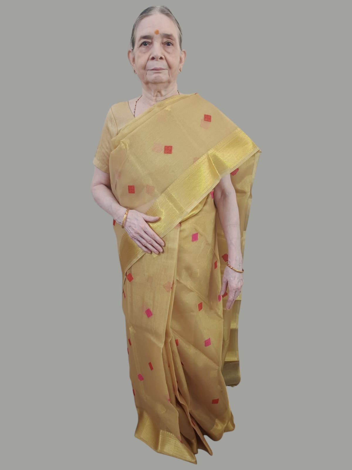 Malkin In Shiny Beige Soft Tissue Saree