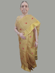Malkin In Shiny Beige Soft Tissue Saree