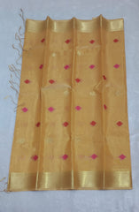 Shiny Metallic Gold Soft Tissue Saree
